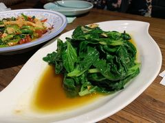 清炒灵芝叶-胖老汉(北京路店)