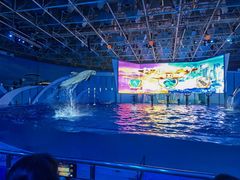 -海合安青岛极地海洋公园