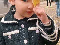 -八大关景区