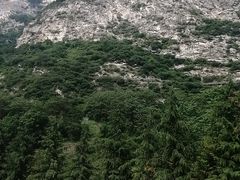 -少华山国家森林公园