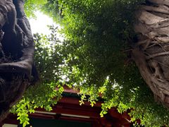 -叩齿古寺