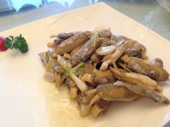 蛏子-宝燕壹号(徐汇店)