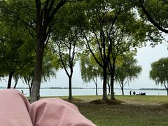 -漕湖湿地公园