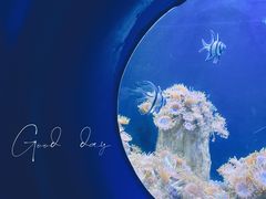 -欢乐海岸海洋奇梦馆