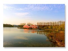 -上海长兴岛郊野公园