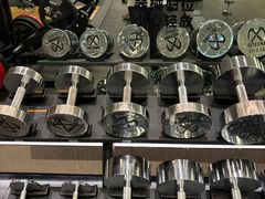 -章鱼健身 Octopus