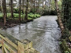 -桤木河湿地公园