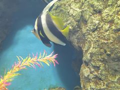 -福州罗源湾海洋世界旅游区