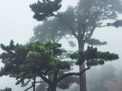 -妙峰山风景名胜区