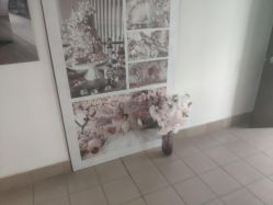-忆江南婚礼策划(姑苏店)