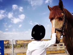 -月河湾马术俱乐部(朝阳店)