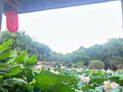 -广州莲花山旅游区