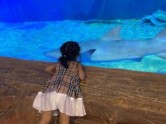 -西安华夏文旅水世界