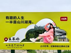-王莽岭风景区