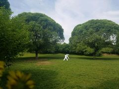 -奥林匹克森林公园北园-停车场