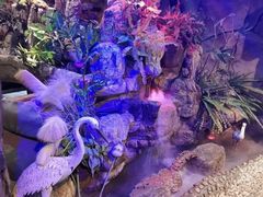 -醉小酒馆·川菜·江湖菜·重庆菜(观音桥旗舰店)