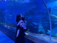 -多彩贵州城极地海洋世界