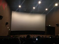 -上影国际影城(成都银泰LUXE店)