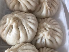 猪肉包子-张记包子铺(龙禧园店)