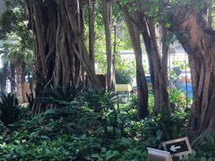 -渔岛海洋度假区