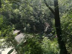 -南山植物园