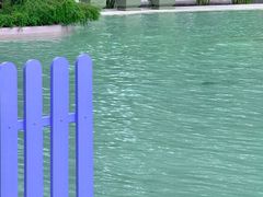-九龙公园