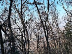 -九龙潭景区