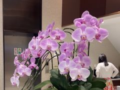 -TSK齿科德申会口腔门诊·联洋诊所