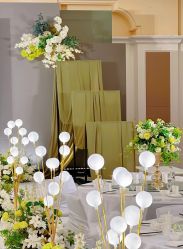 -明典婚礼策划·婚车租赁·婚纱摄影