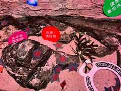 -沈阳海洋探索中心