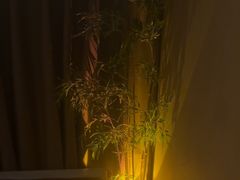 -宁采臣Sleep·采耳·SPA放松馆(湖里万达店)