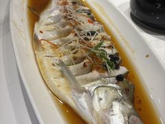 -王捌小院(红花坡店)