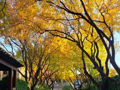 -龙湖星悦荟(颐和店)