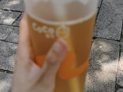 -CoCo都可(惠山古镇店)