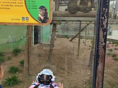 -鄂尔多斯野生动物园