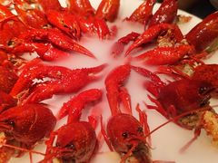 -红盔甲·小龙虾(天钥桥店)
