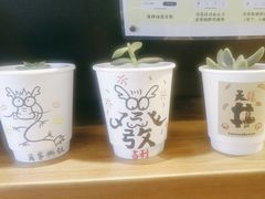 -天井·丑面包搭咖啡