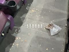 -幸福蓝海国际影城(河西店)