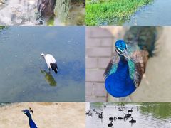 -杭州野生动物世界