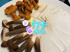 -千岛蚝高压锅生蚝·人参火锅(白云万达店)