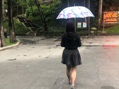 -百果园PAGODA(应元路店)