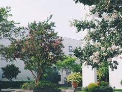 -逸林轩中餐厅(中信泰富朱家角锦江酒店)