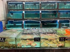 -天天海鲜城·海鲜大排档(新溪店)
