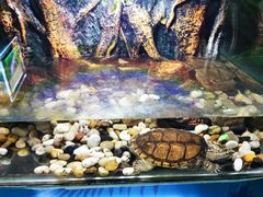 -梦幻海洋王国(吾悦广场张家港店)