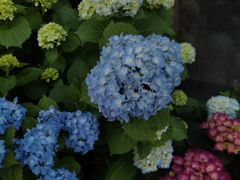 景观位-远山有窑