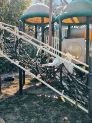 -阿菠萝小猪农场·萌宠乐园·亲子游·研学