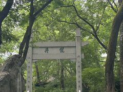 -龙井村