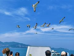 -刘公岛景区