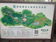 -西双版纳原始森林公园