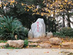 -武汉大学-樱园